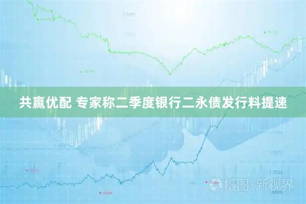 共赢优配 专家称二季度银行二永债发行料提速